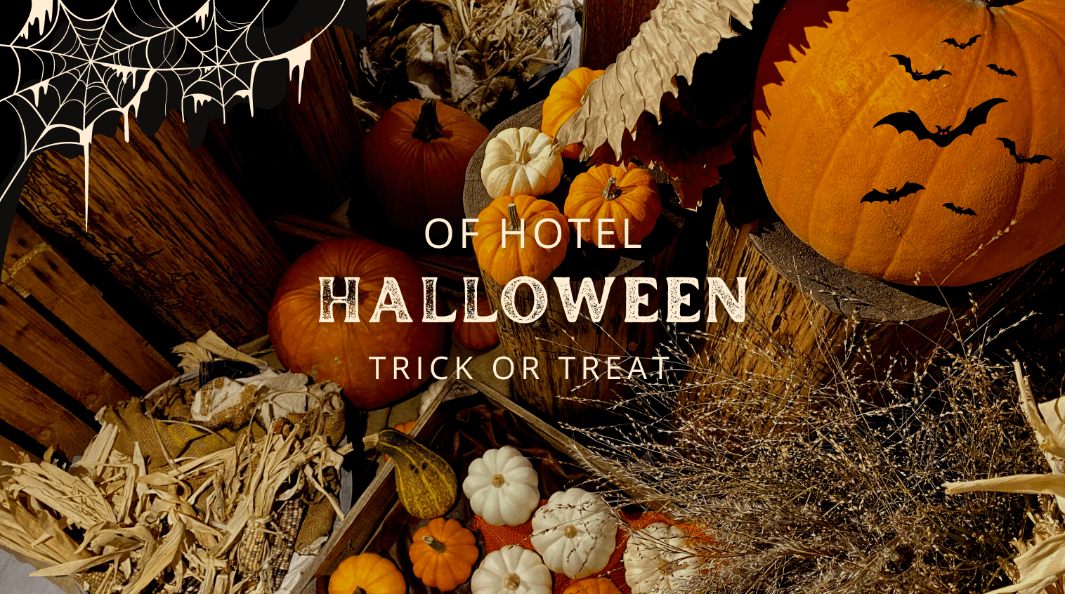 OF HOTEL Halloween Campaign 2022