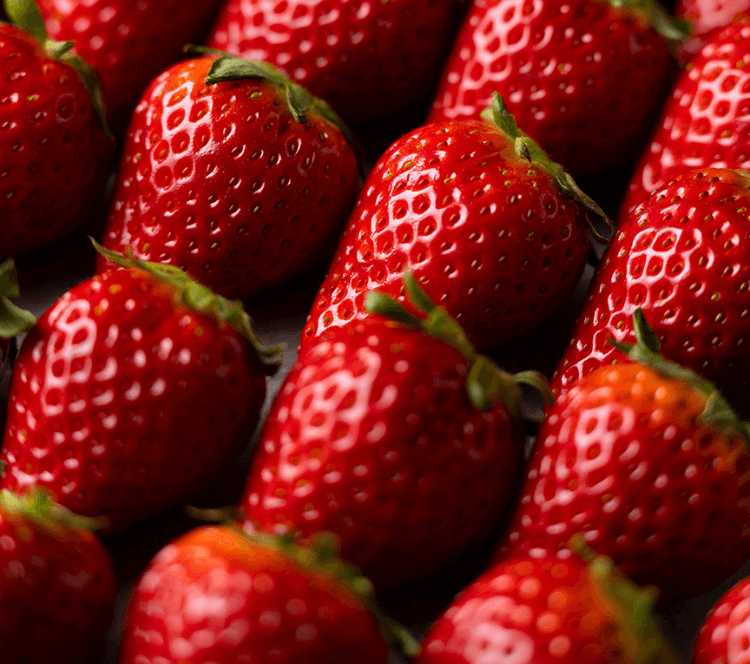 OF HOTEL｜LOCAL BUSINESS SESSION【トークと試食 & ペアリング体験】GRAミガキイチゴ初摘み記念、MIGAKI FARMブランドローンチイベント